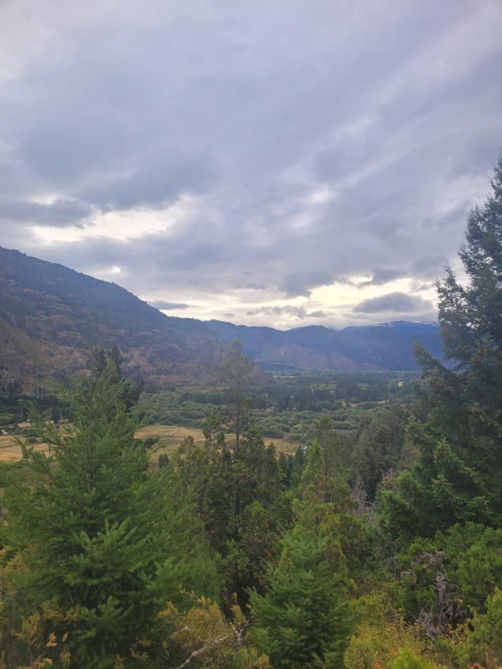 Venta de 2 Hectareas con Bosque - El Pedregoso, El Hoyo!