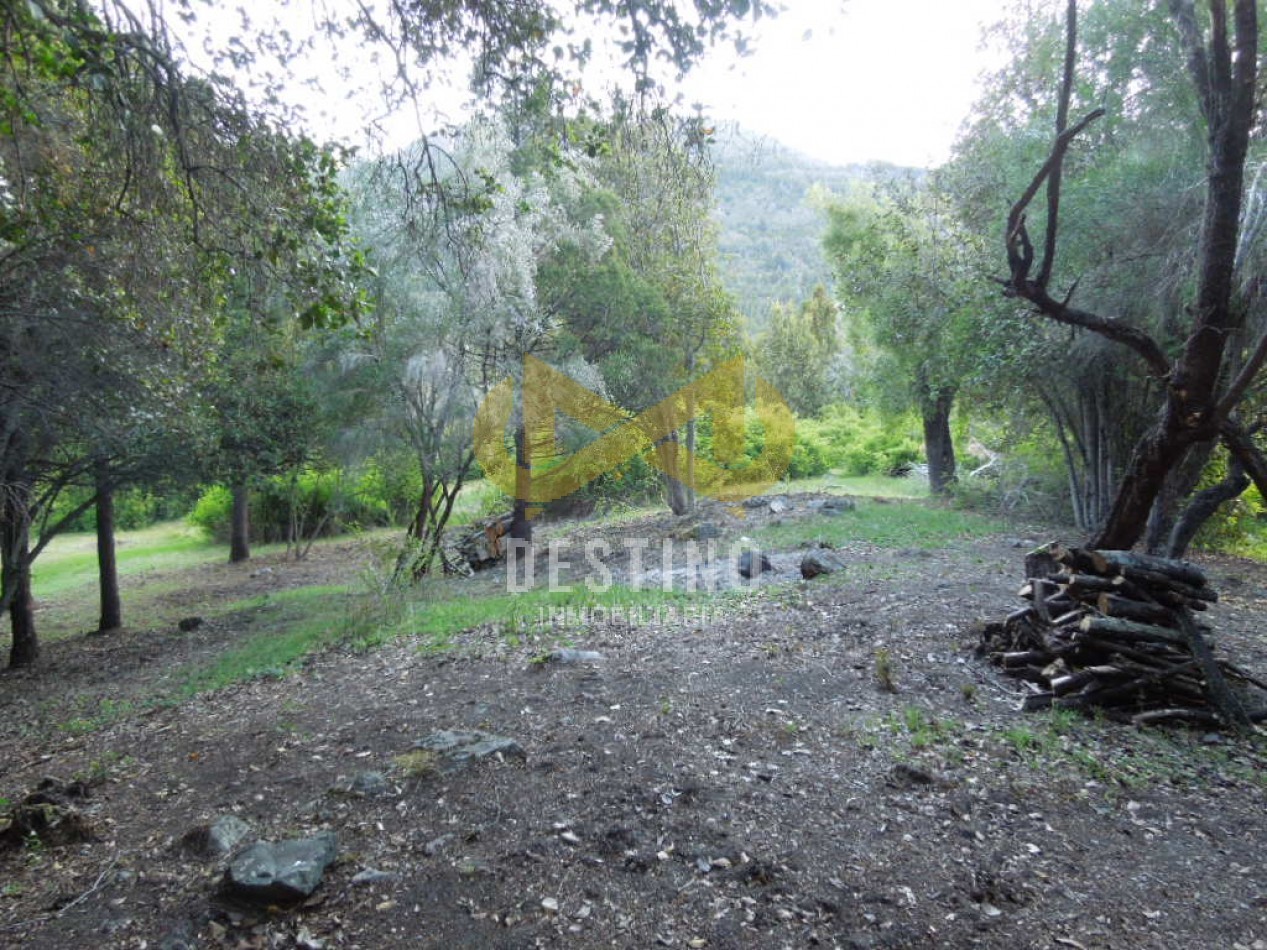 19.5 HECTAREAS EN EL PEDREGOSO!