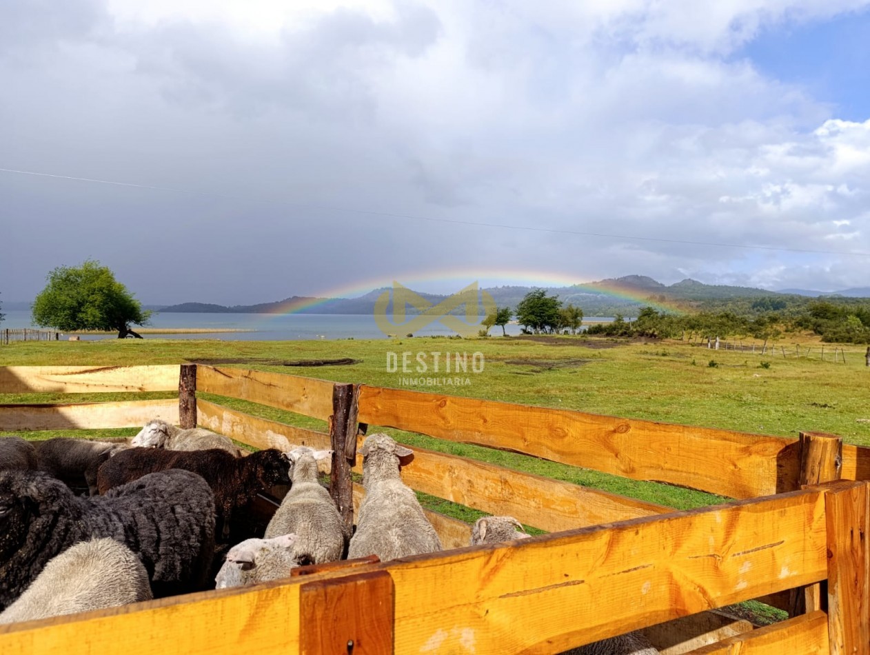 Propiedad en Venta - Lago Lezama, Cholila