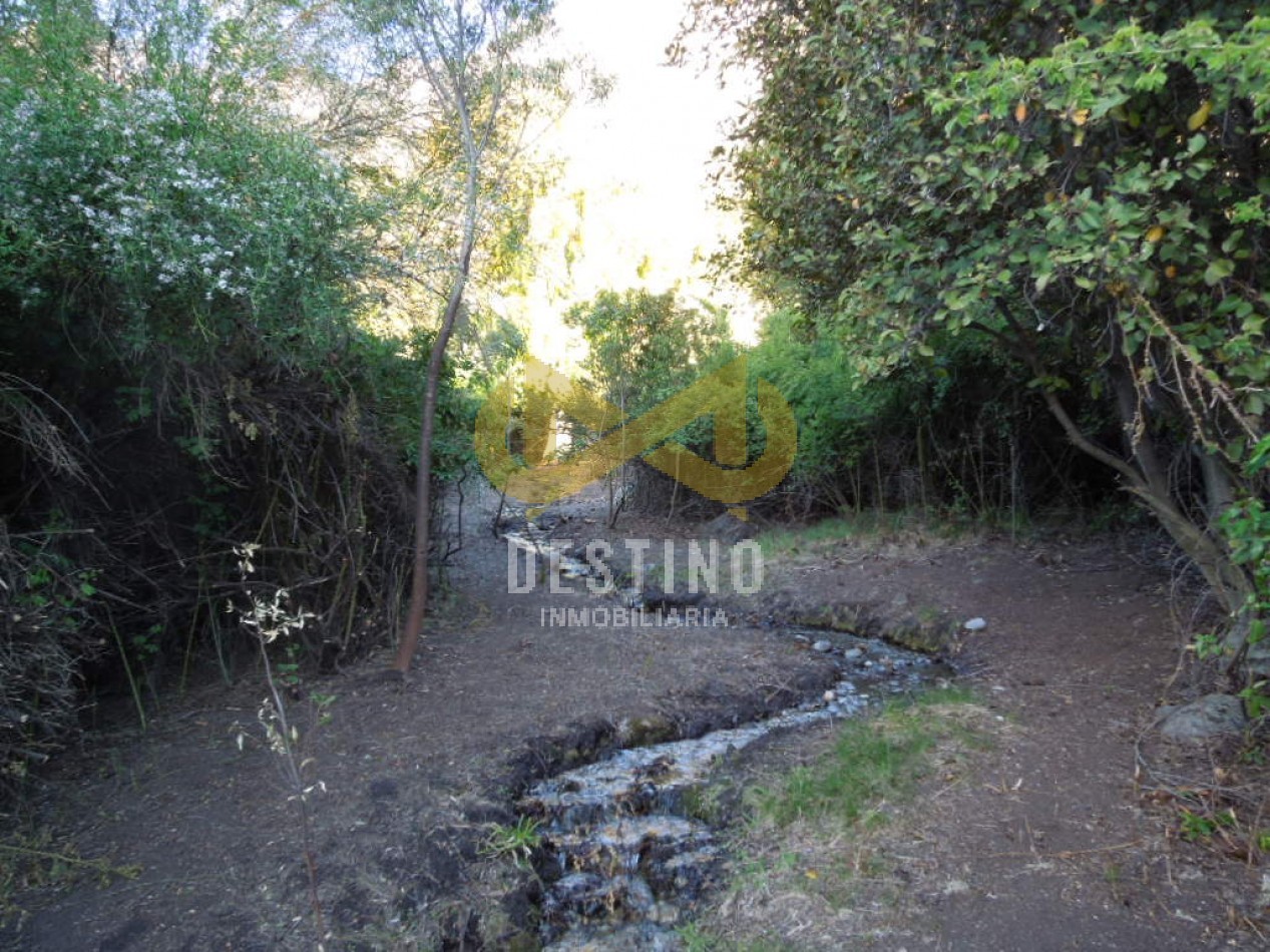 19.5 HECTAREAS EN EL PEDREGOSO!