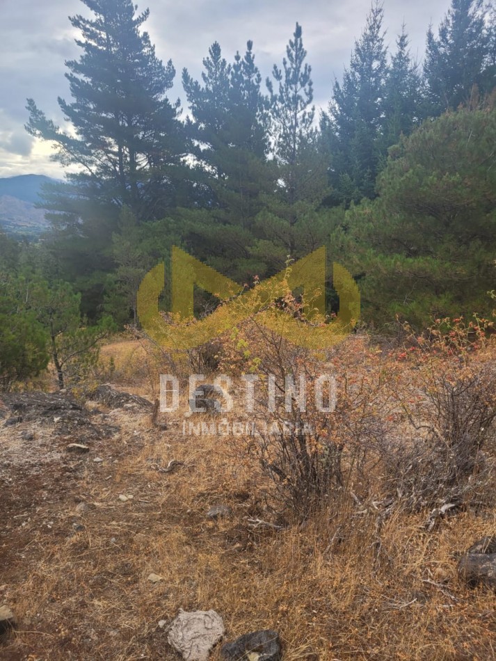 Venta de 4 Hectareas en El Pedregoso - El Hoyo