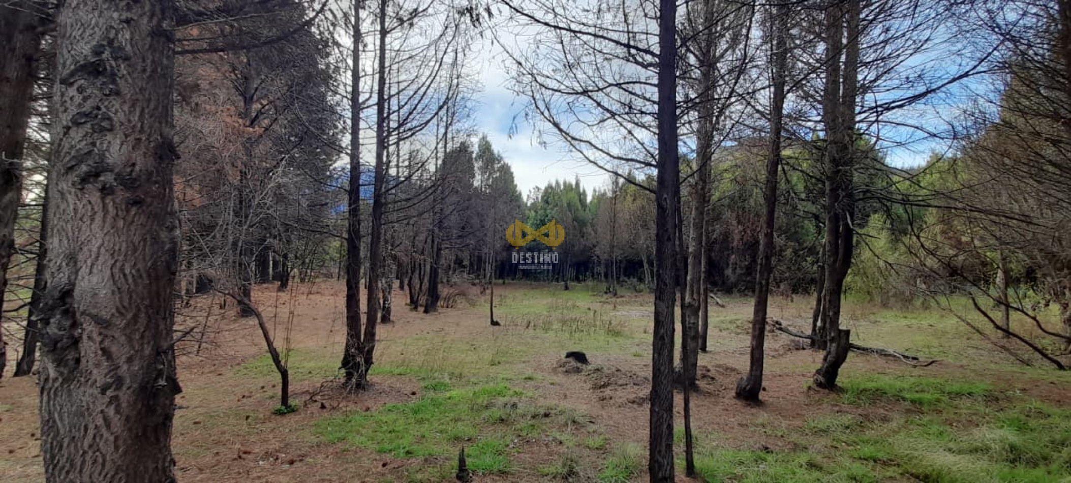 TERRENO EN VENTA, EPUYEN