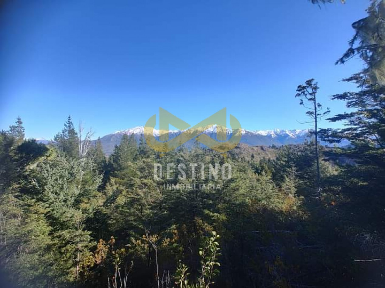 43 HECTAREAS DE BOSQUE NATIVO - CAMINO A EL MAITEN!