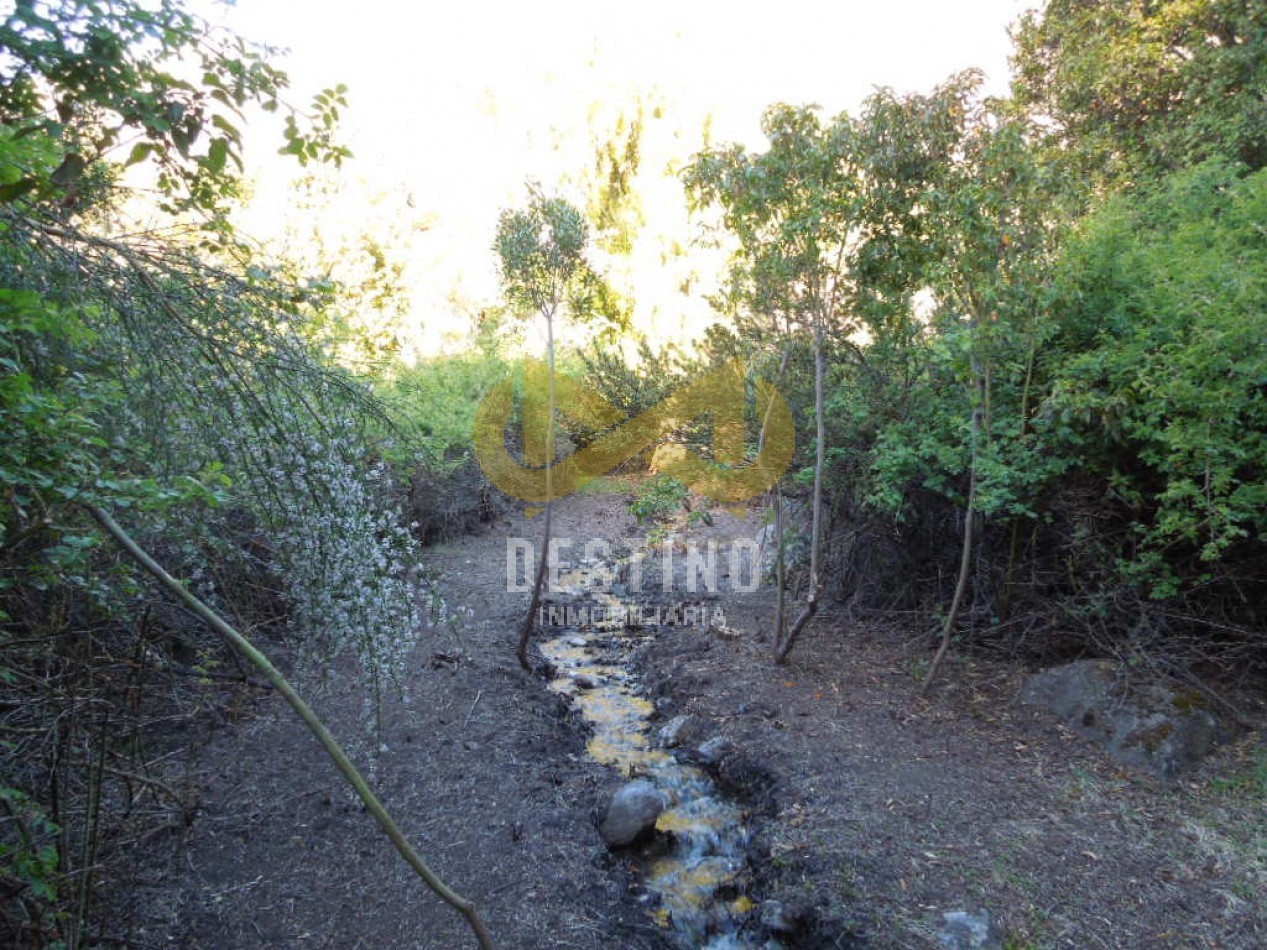 19.5 HECTAREAS EN EL PEDREGOSO!