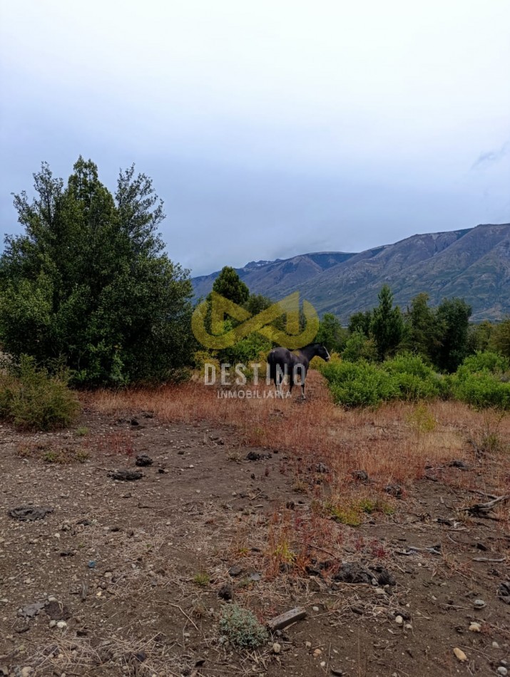 Propiedad en Venta - Lago Lezama, Cholila