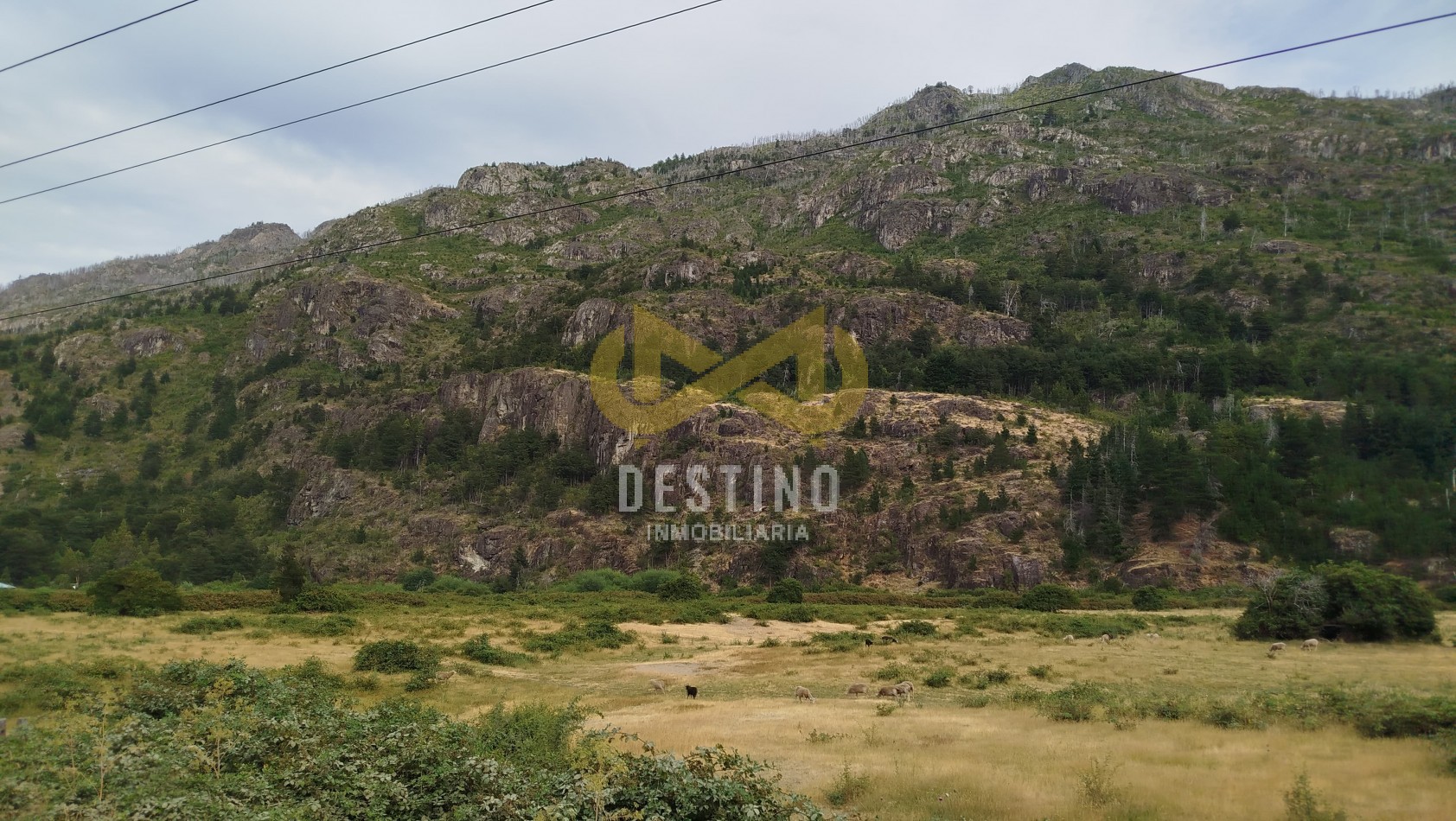 ¡10 Hectareas en Venta - El Desemboque