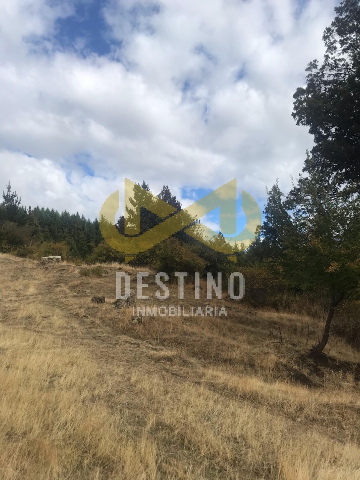 2 HECTAREAS EN VENTA - RINCON DE LOBOS, EL HOYO!