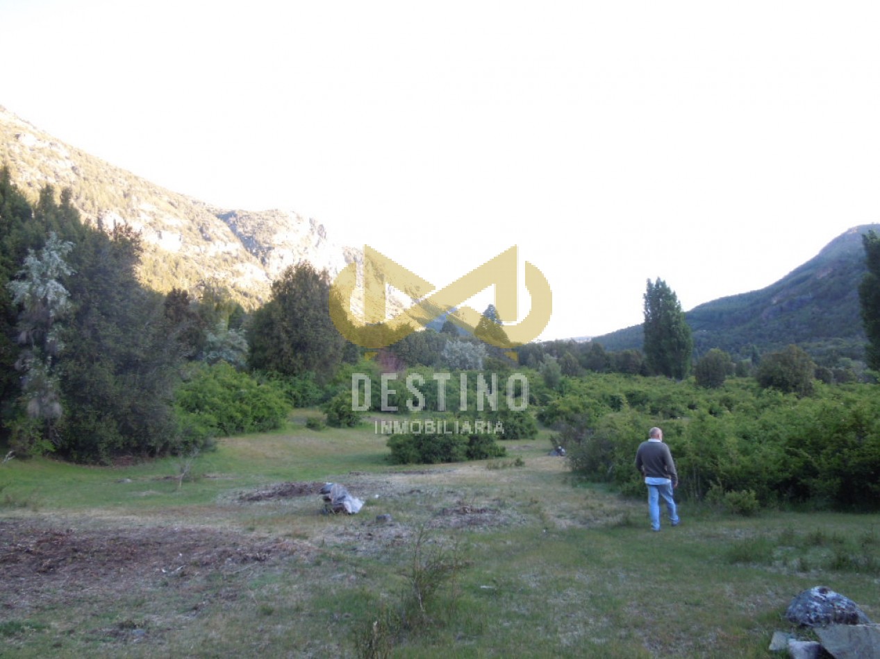 19.5 HECTAREAS EN EL PEDREGOSO!