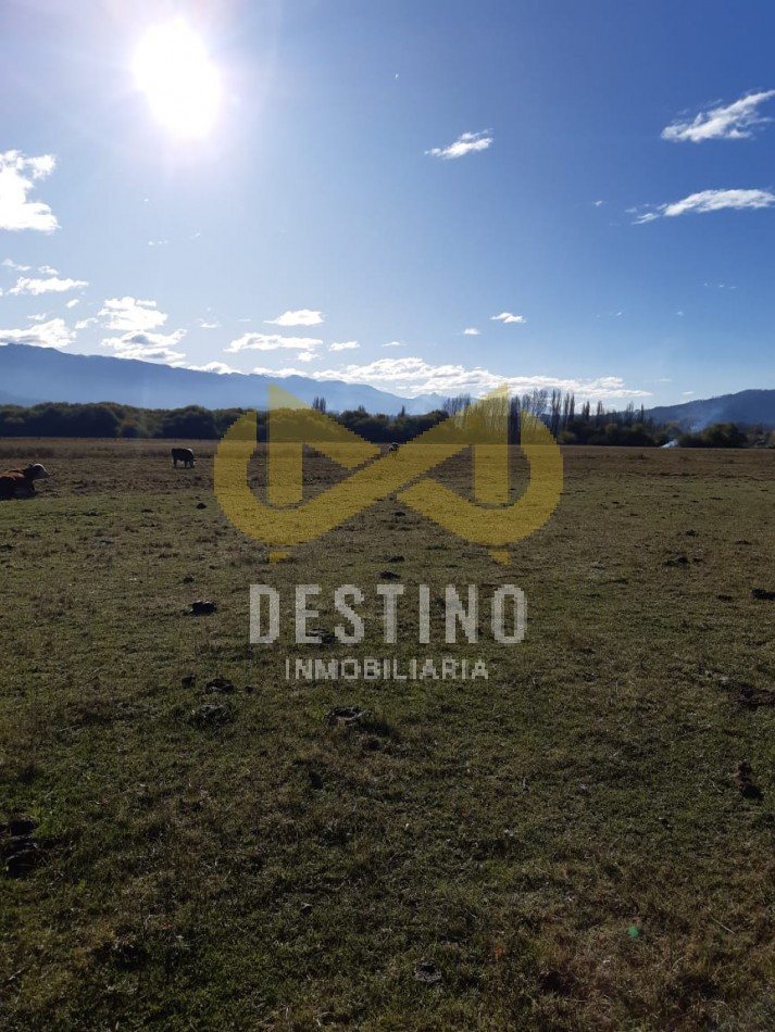 Chacra de 6 Hectareas en Rincon de Lobos - El Hoyo, Chubut