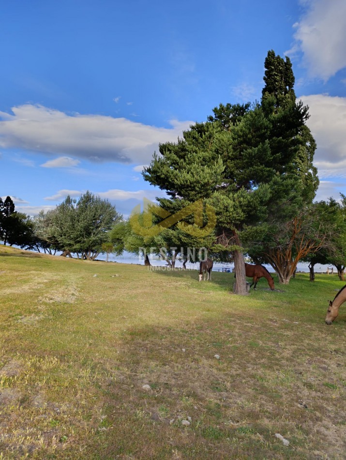 Propiedad en Venta - Lago Lezama, Cholila