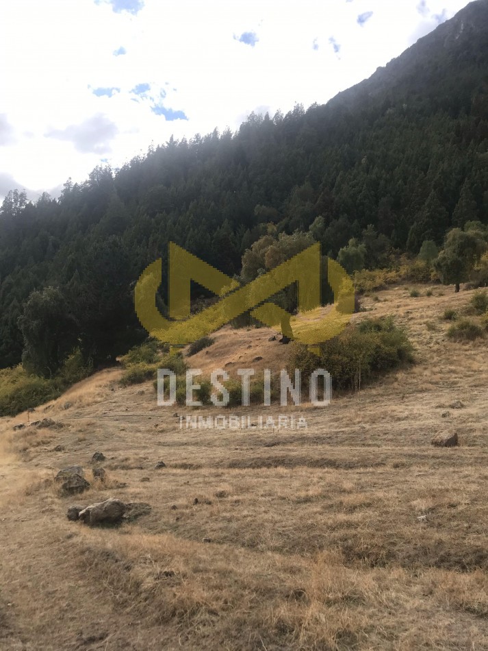 2 HECTAREAS EN VENTA - RINCON DE LOBOS, EL HOYO!