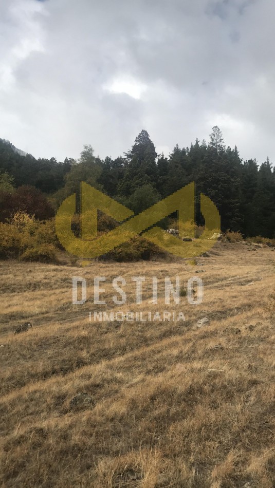 2 HECTAREAS EN VENTA - RINCON DE LOBOS, EL HOYO!