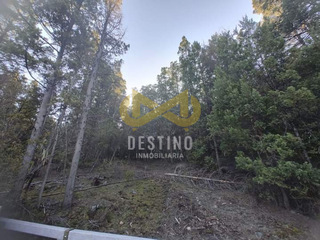 43 HECTAREAS DE BOSQUE NATIVO - CAMINO A EL MAITEN!