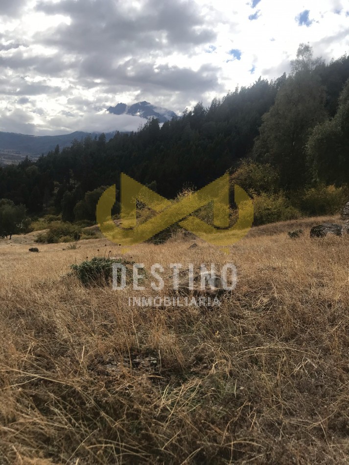 2 HECTAREAS EN VENTA - RINCON DE LOBOS, EL HOYO!