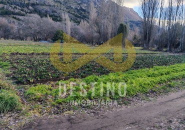 1/2 HECTARA EN PEDREGOSO!