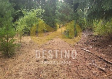 Venta de 2 Hectareas con Bosque - El Pedregoso, El Hoyo!