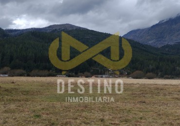 2 HECTAREAS EN EL PEDREGOSO!